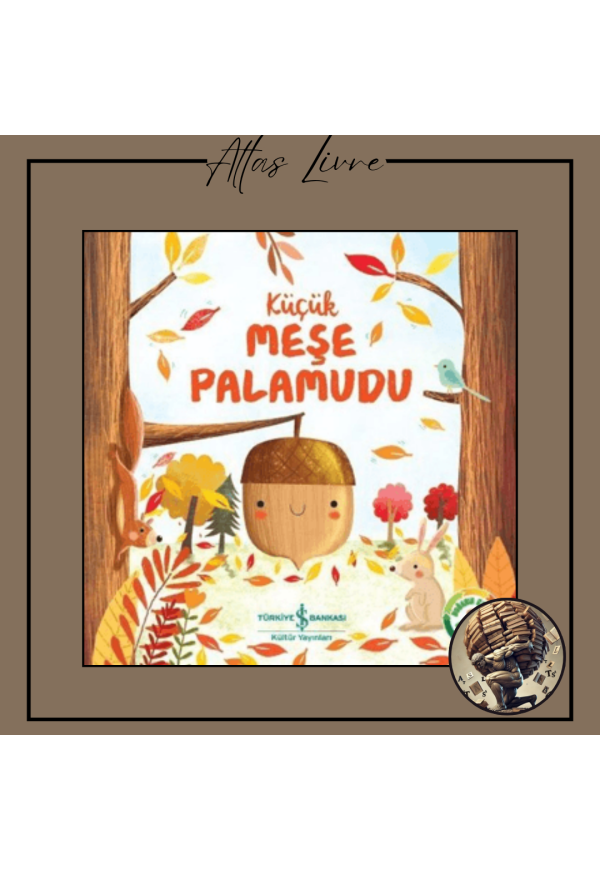 Küçük Meşe Palamudu - Doğanın Eşsiz Hikayeleri 2